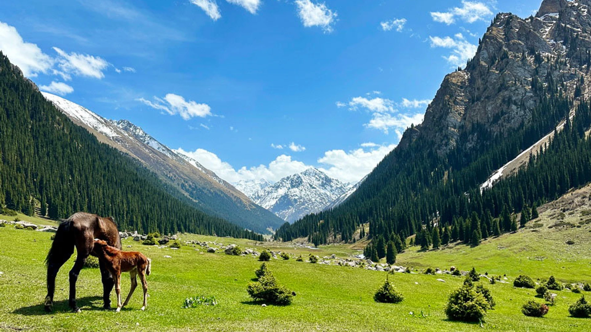 Tours in Karakol | East Explorers